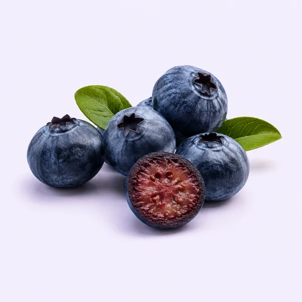 Extracto de arándano (mirtilo), ingrediente de Visionix