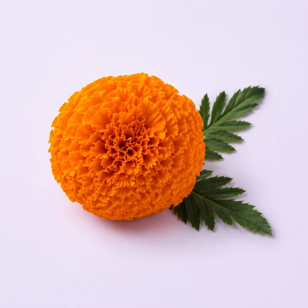 Luteína FloraGLO®, ingrediente de Visionix